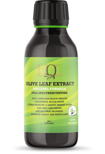 Olive Leaf Extract Original Formula 16oz - My Olive Leaf 